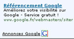 Google Adwords Premium avec un logo google