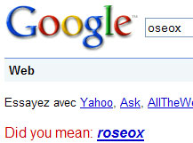 suggestion orthographique sur google.fr en langue anglaise