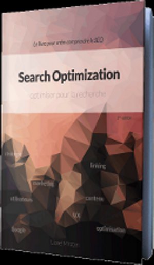 search optimization de Lionel Miraton