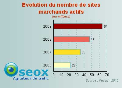 Nombre de boutiques ecommerce en France