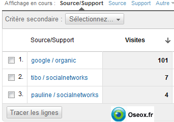 Exemple de rapport Google Analytics intégrant des sources de Social Networks