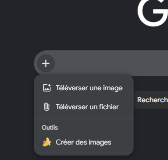 bouton plus google