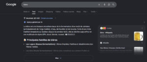 exemple ia overview sur google à l'étranger