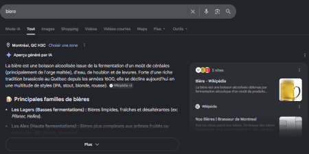 ia overview sur google à l'étranger