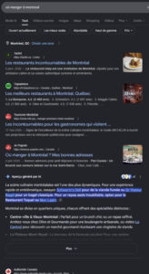 bloc ia overview au milieu des serps