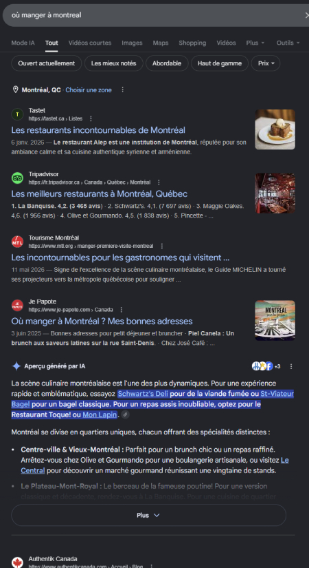 bloc ia overview au milieu des serps