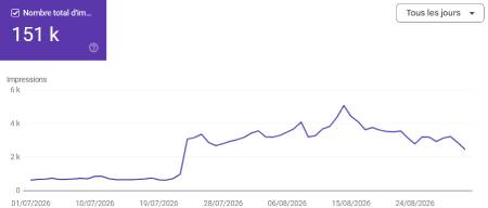 stats ia générative et ia overview dans google france